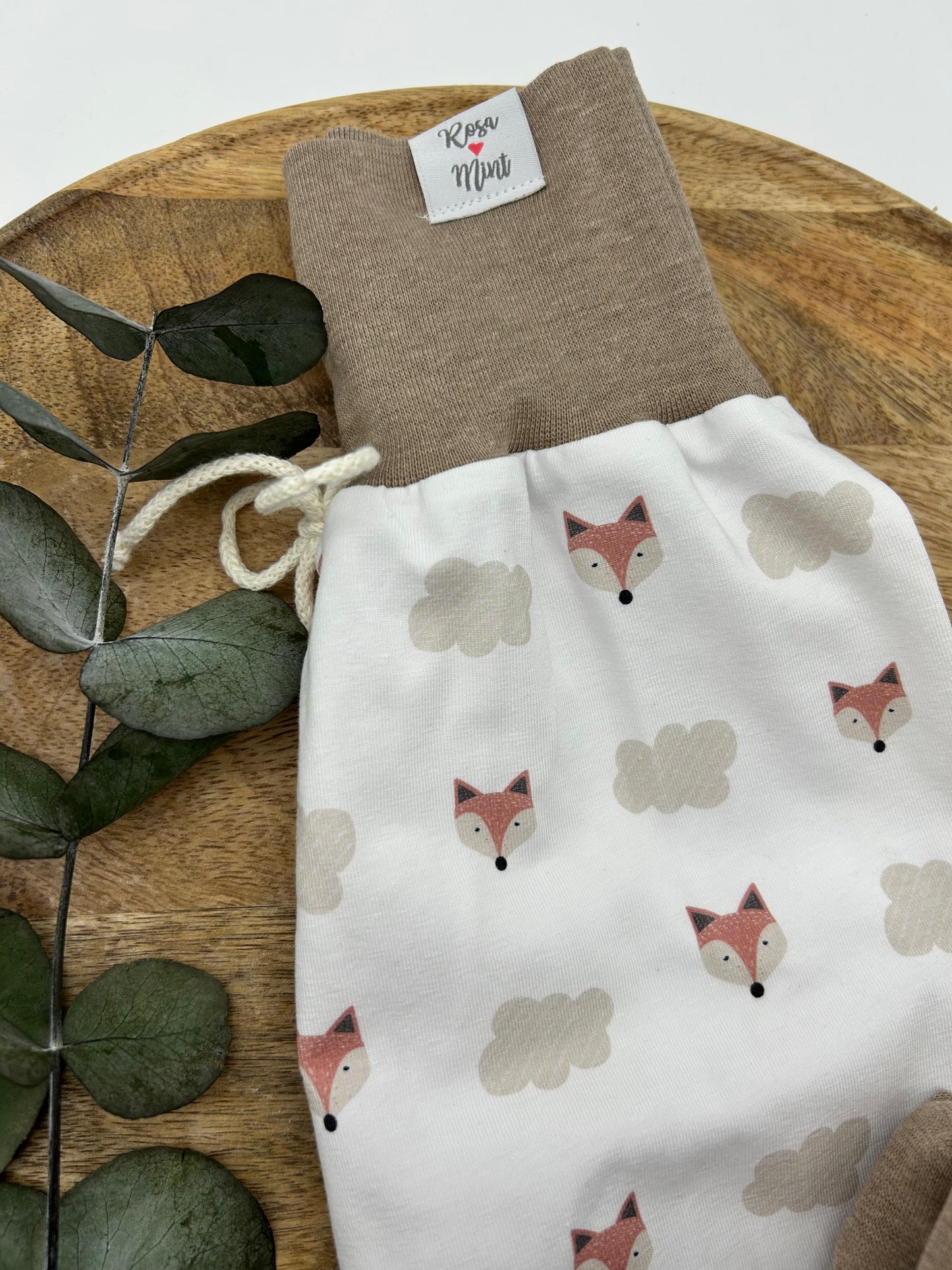 Cloudy Fox