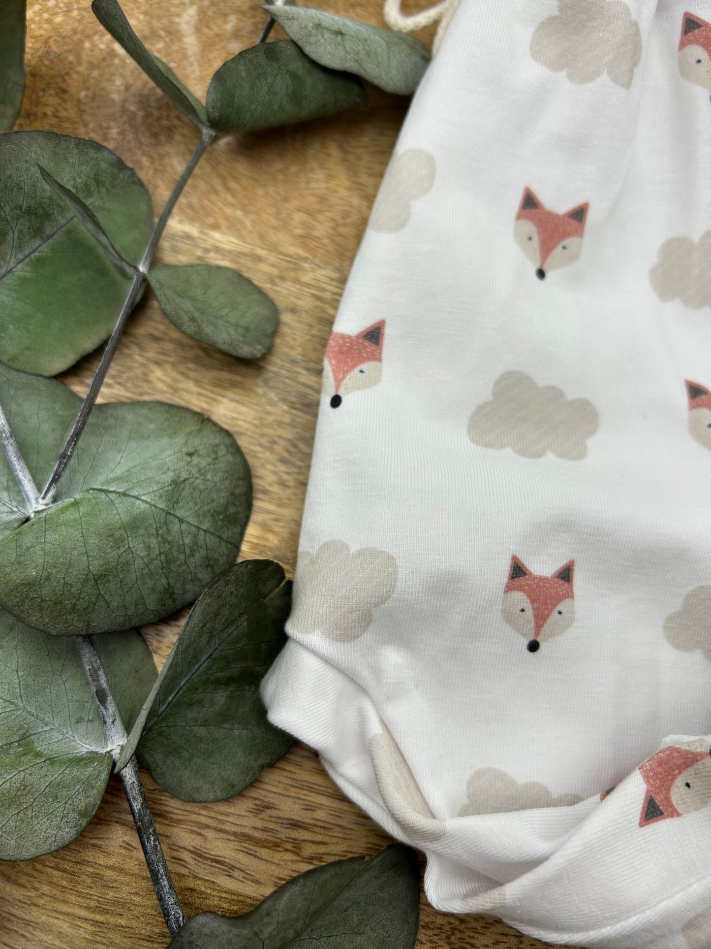 Cloudy Fox